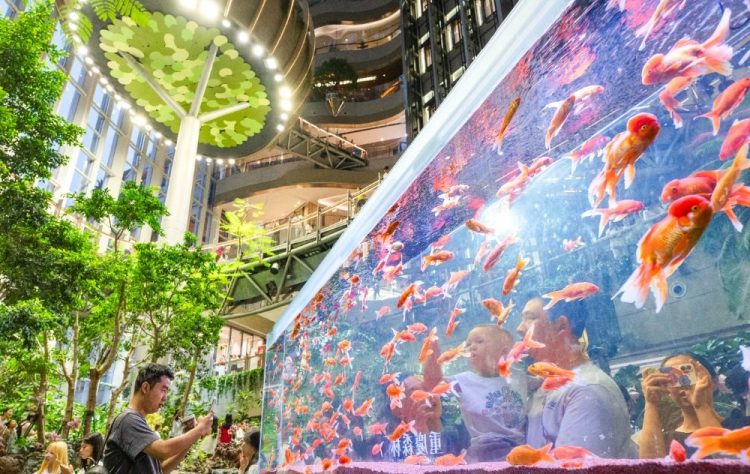 重庆商场以“凉”引客点燃夏日消费热