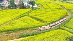 重庆：2026年潼南油菜花节启幕