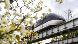 重庆璧山：绘就城市“春日画卷”