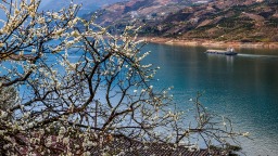 三峡地区迎来繁花盛景
