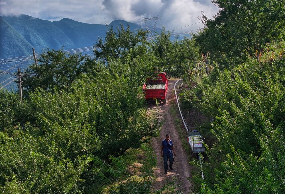 重庆：乡韵更浓郁 乡土更青春