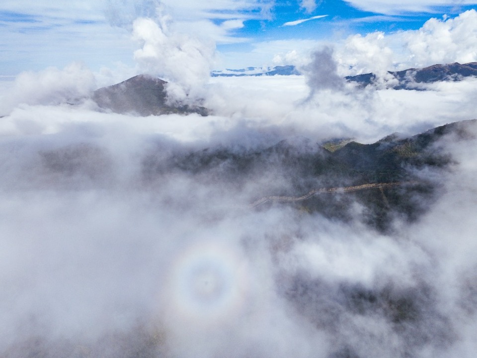 重庆城口:绿色“制氧机”筑牢生态屏障