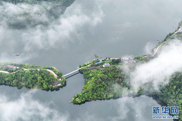 重庆酉阳：舟行绿廊间 山水如画卷