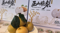 重庆：巫山脆梨将于8月23日正式开园上市