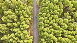 重庆：升级一条乡村公路 畅通三大避暑景区