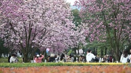 重庆：“小公园”为何需要“大治理”