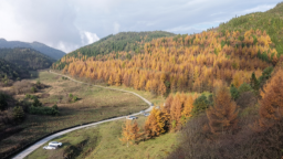 重庆丰都：万亩彩林“织金毯” 美景如画醉游人