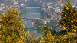 定格美丽重庆：黔江湿地古镇冬如画