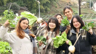 冬至“乡”约 在渝留学生体验传统年俗