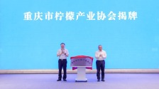 全国首个省级柠檬产业协会为何落地重庆潼南