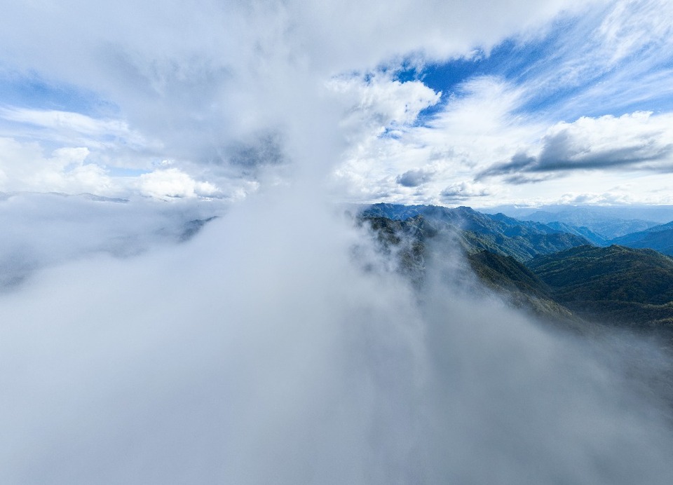 重庆城口:绿色“制氧机”筑牢生态屏障