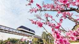 重庆交通正“向绿而行”