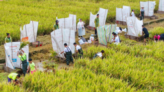 巴渝丰收年 农民乐开颜 重庆市2025年中国农民丰收节在忠县启幕