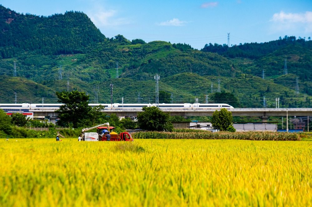 重庆：乡韵更浓郁 乡土更青春