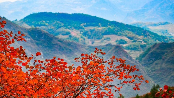 重庆巫山：初冬美景引客来