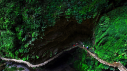 重庆首个春假将启 武隆多类Pass卡助力春日畅游