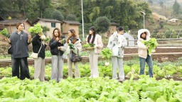 冬至“乡”约 在渝留学生体验传统年俗