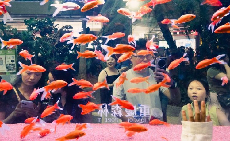 重庆商场以“凉”引客点燃夏日消费热