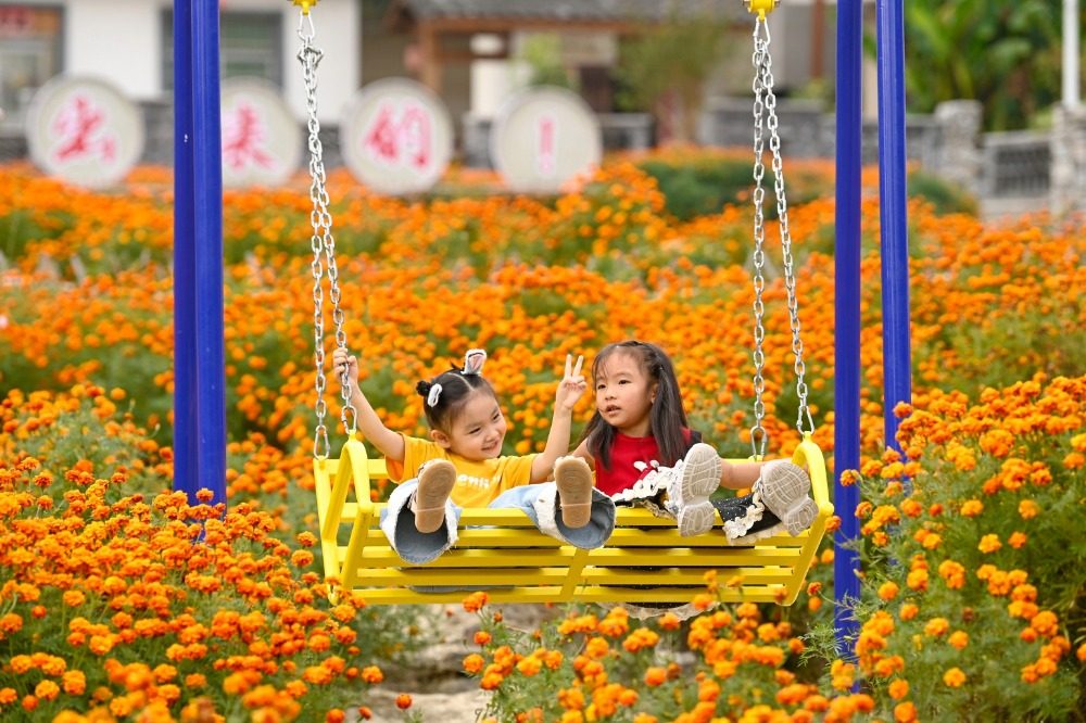 重庆酉阳：乡村花海醉游人