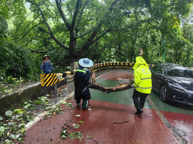 重庆交警全力保畅 “雨”你同行_fororder_图片2