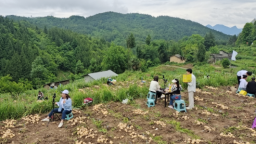 重庆巫山：特色农业产业助力农民增收 托起乡村振兴新希望