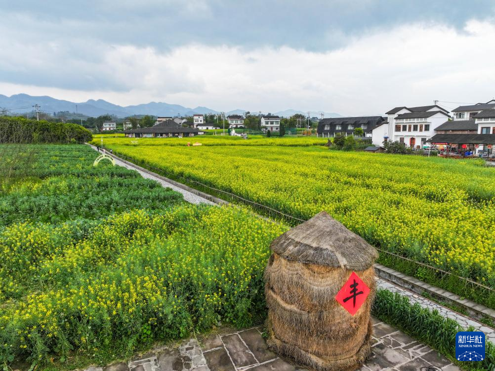 重庆璧山：“田园花朝节”引客来