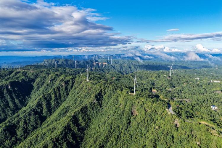 重庆黄水：青山绿水引客来