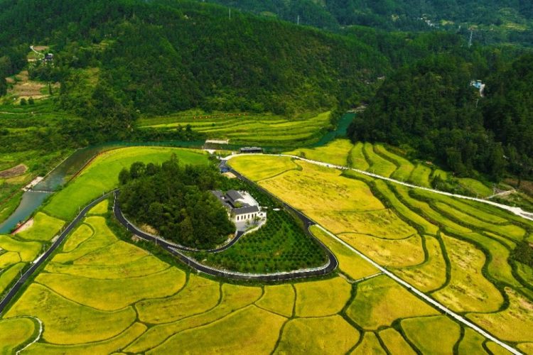 重庆黔江：水美乡村秋色浓