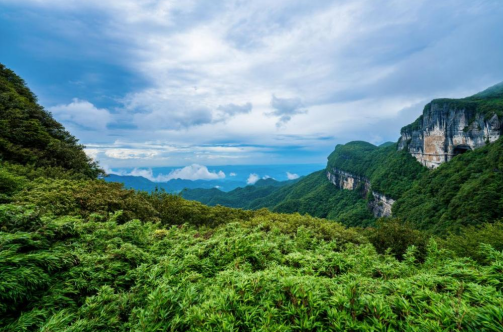 重庆南川金佛山开启清凉避暑季 畅享多元消暑玩法_fororder_微信图片_20250729152923