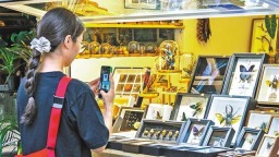 “重庆购好礼”成文化传播新引擎