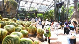 重庆：赏花、采茶、亲子游激活假日经济
