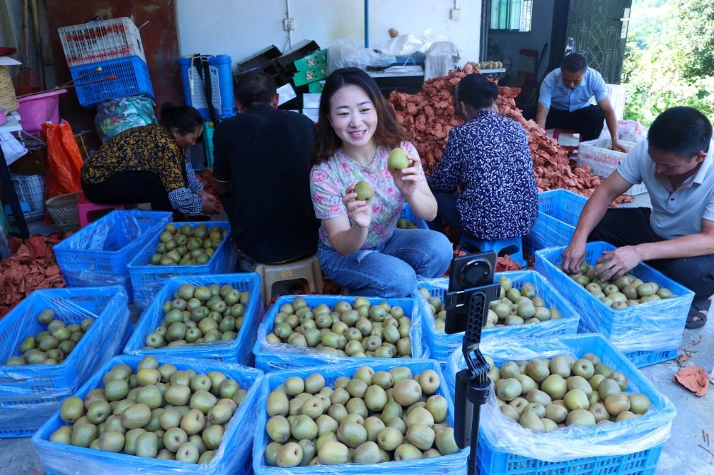 重庆：乡韵更浓郁 乡土更青春