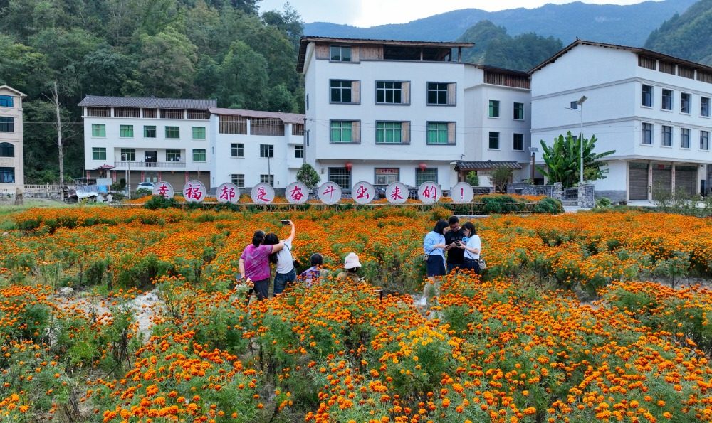 重庆酉阳：乡村花海醉游人