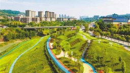 重庆巴南：修复河流生态 再现清水绿岸