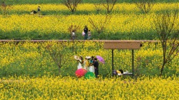 重庆北碚：踏青赏花 乐享春光