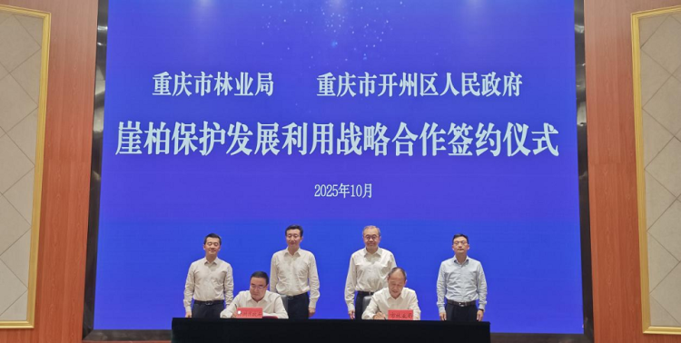 重庆市林业局与开州签订崖柏保护发展利用战略合作_fororder_mmexport1760941512051