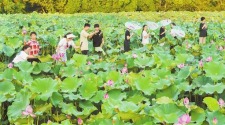 重庆垫江：千亩花海带动农旅融合