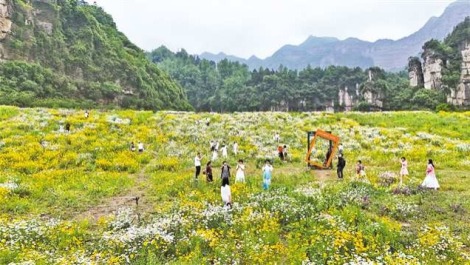 重庆南川： 五月花海醉游人 农旅融合促振兴