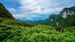 重庆南川金佛山开启清凉避暑季 畅享多元消暑玩法