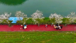 又到春花烂漫时｜重庆黔江：和美乡村春如画