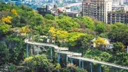 重庆：桥下生风景 江岸慢成诗