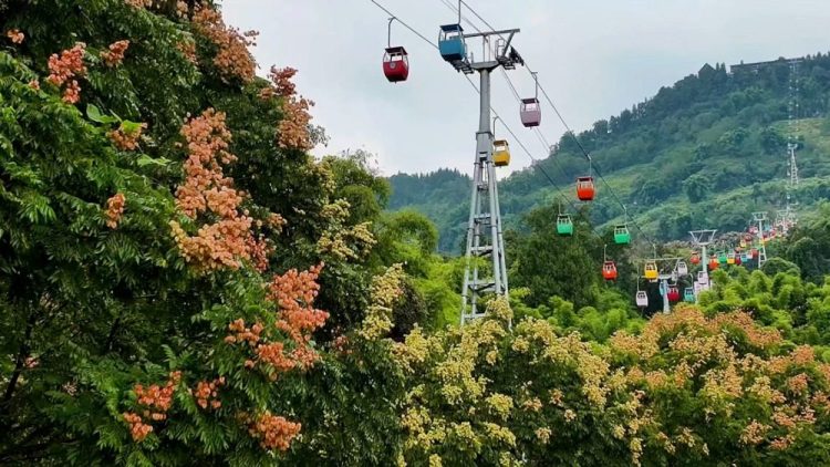 国庆假期重庆文旅市场供需两旺