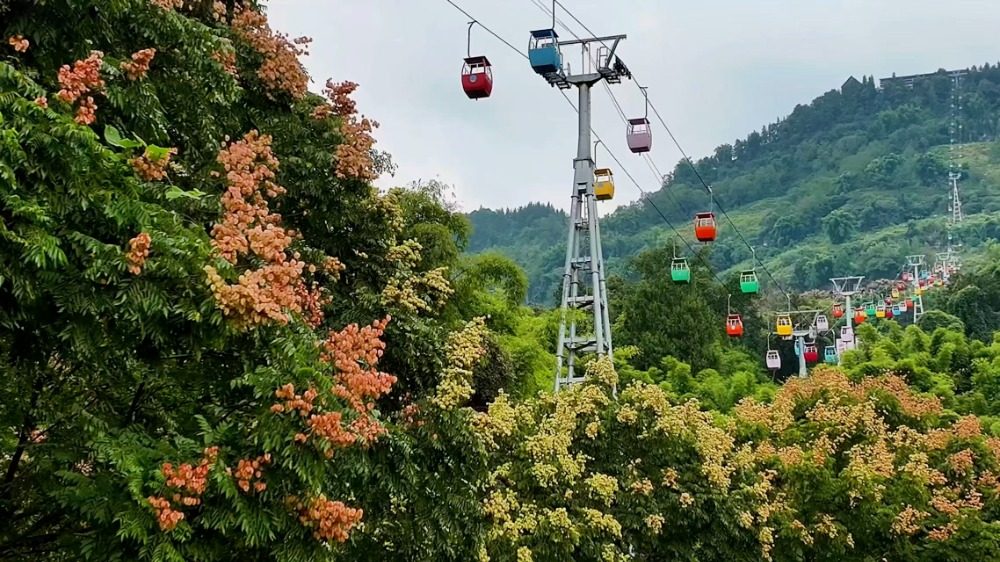 国庆假期重庆文旅市场供需两旺