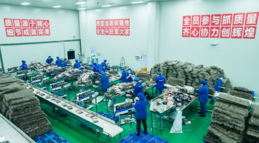 重庆彭水多举措促进城镇新增就业_fororder_微信图片_20250716150749
