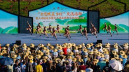 全国首次文艺赋美乡村交流活动在渝举行