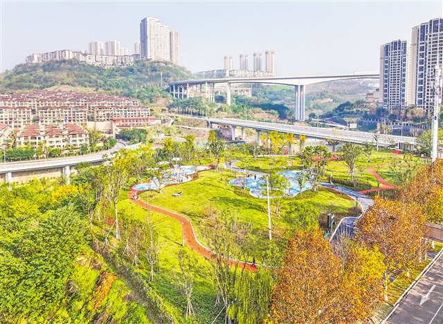 重庆城市绿荫工程提前超量完成