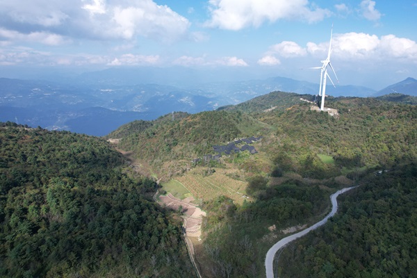 重庆巫山：光伏发电保障山区农户用电_fororder_2025年10月12日，三溪乡红花村邓玉龙药材种植基地全景。（肖玉建摄）.JPG