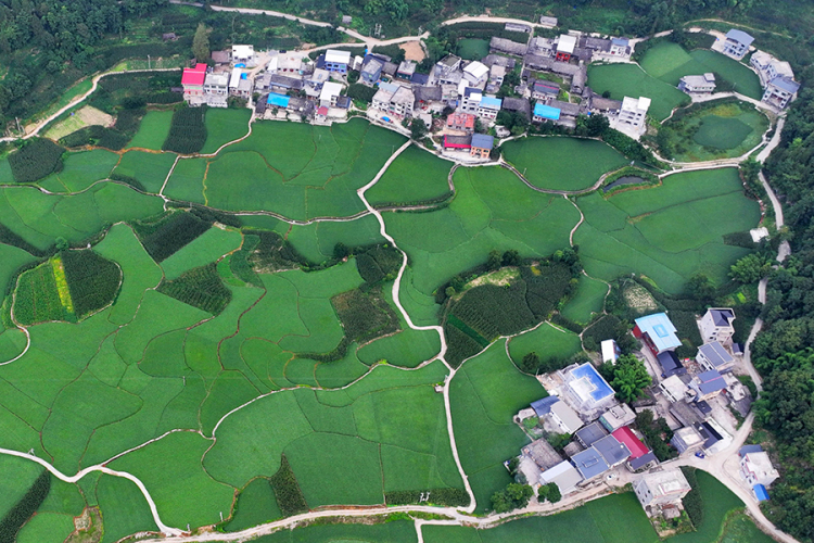 有一种滤镜叫“夏天”！悠长夏日藏在山区里的“世外桃源”有多治愈？