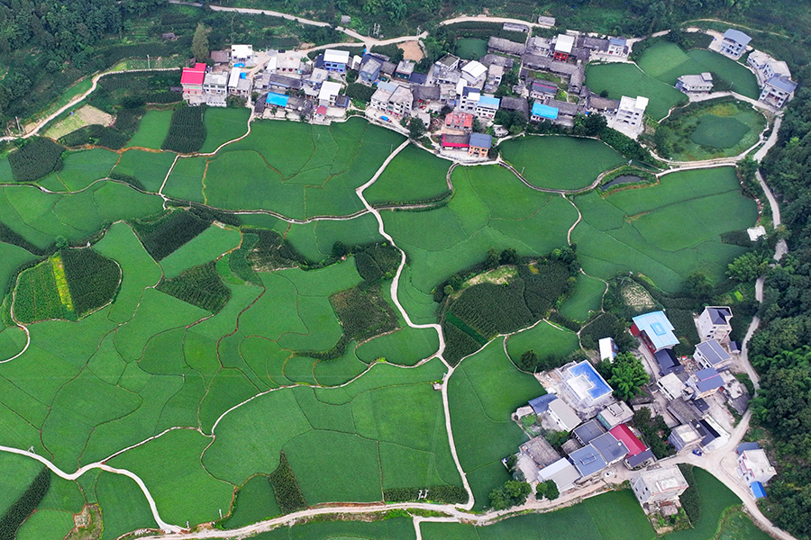 有一种滤镜叫“夏天”！悠长夏日藏在山区里的“世外桃源”有多治愈？