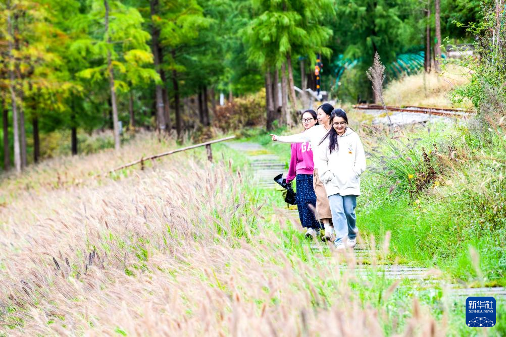 重庆石柱桥头镇：农文旅融合助力乡村振兴